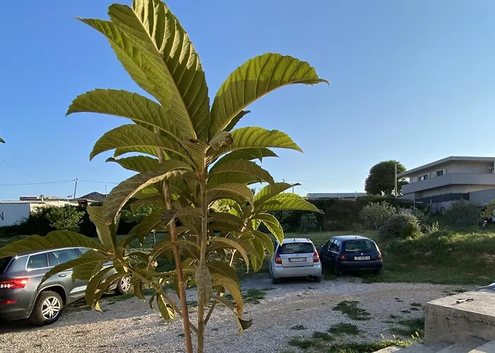 Rio Duilovo Lejlighed